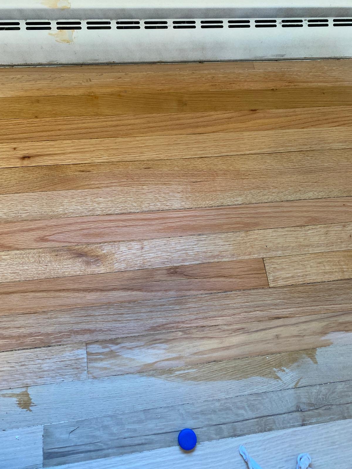 Refinished hardwood floor, sunlit
