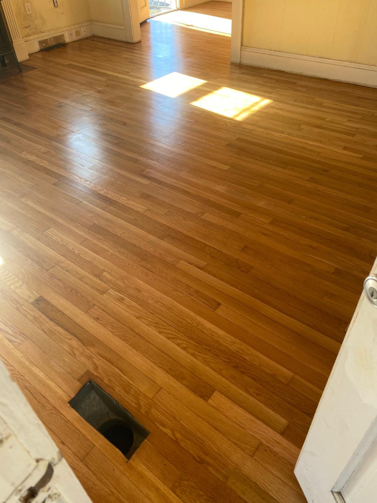 Refinished hardwood floor, sunlit room