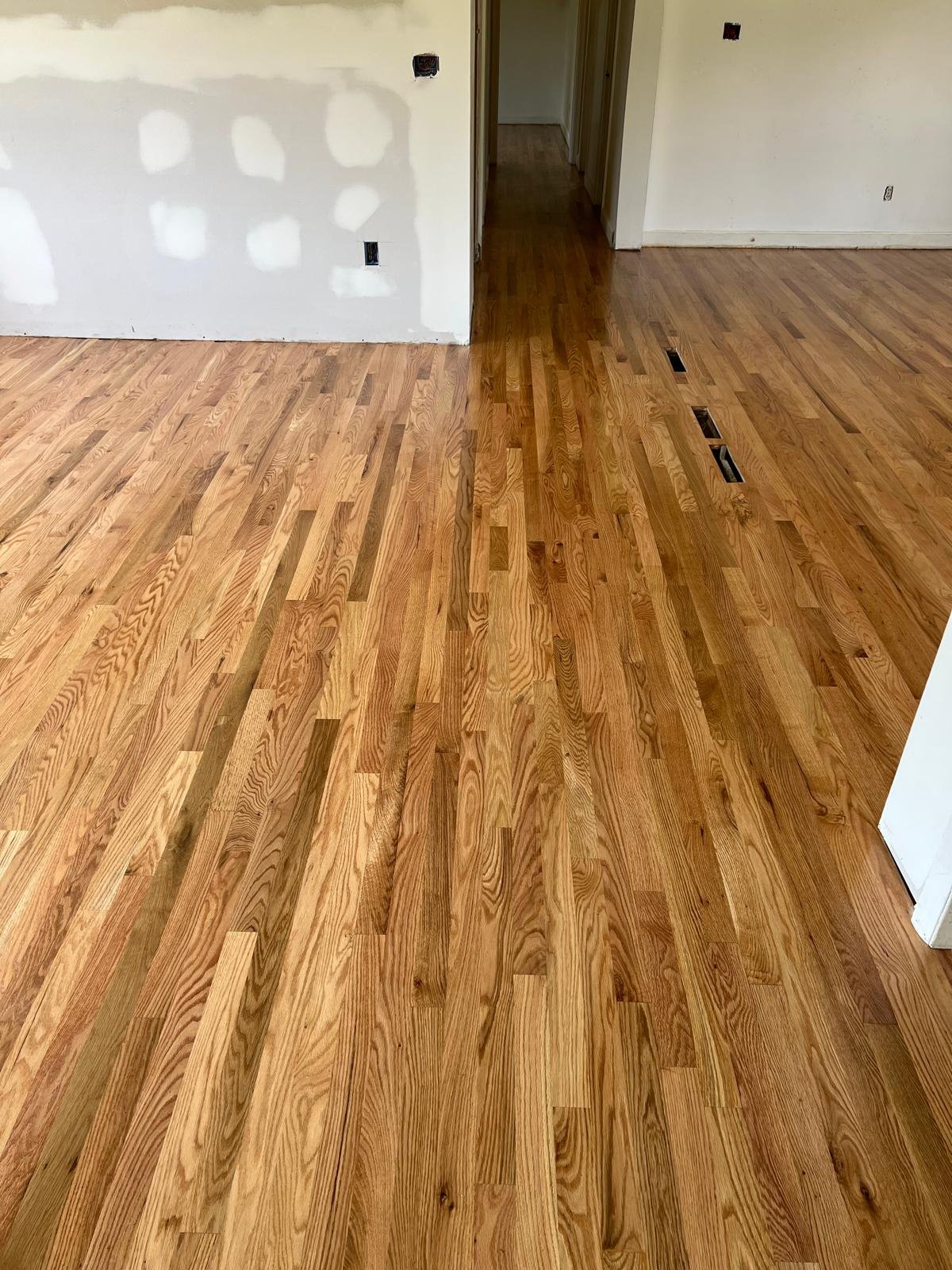 Refinished hardwood floor with sunlight