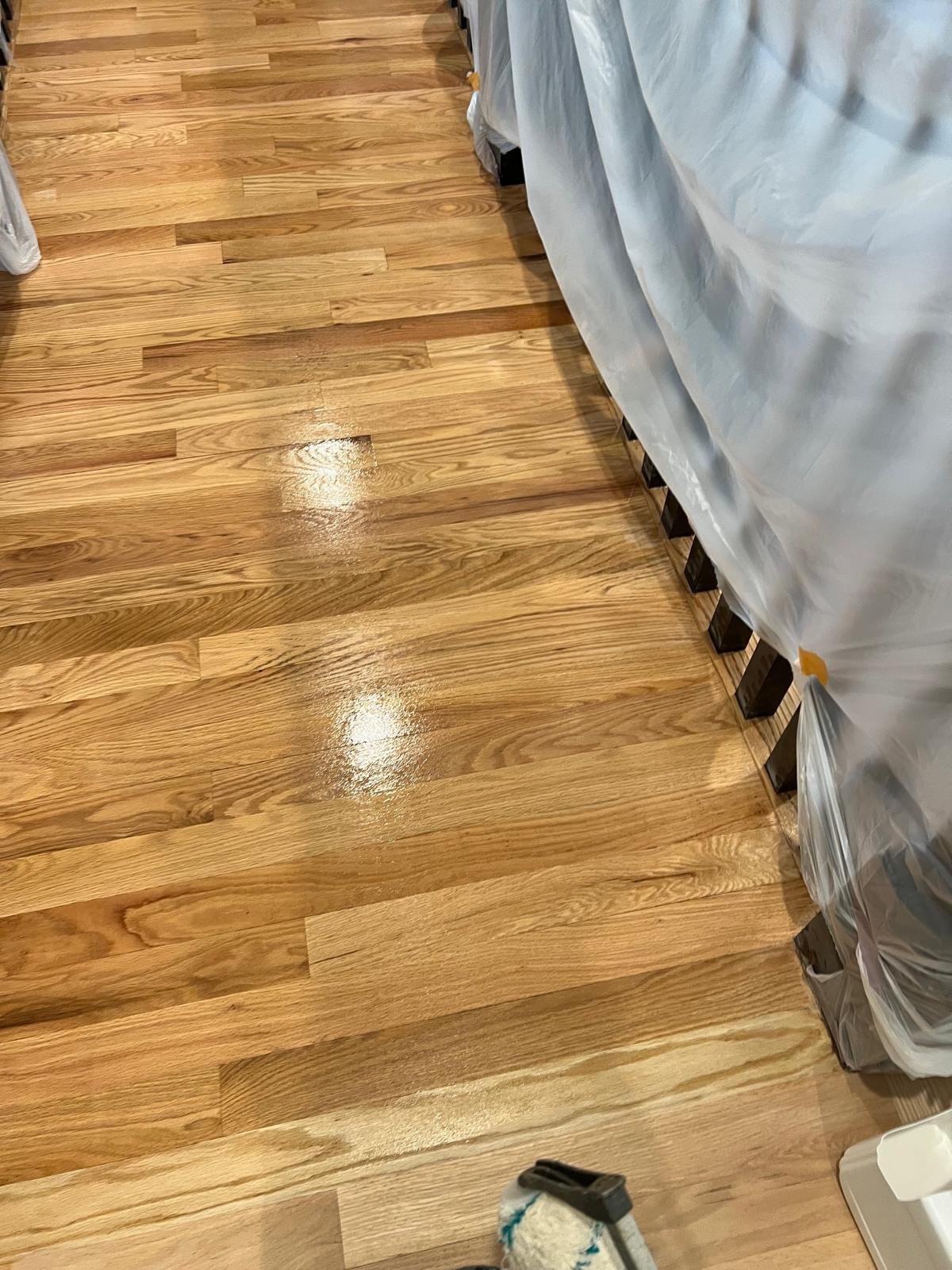 Refinished hardwood floor, hallway